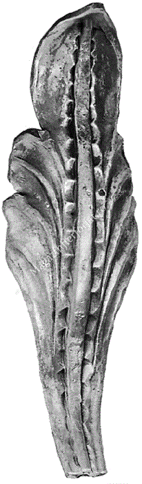 666/4 Frunza fier forjat cu H.190mm din tabla de 4mm forjata manual la ciocan